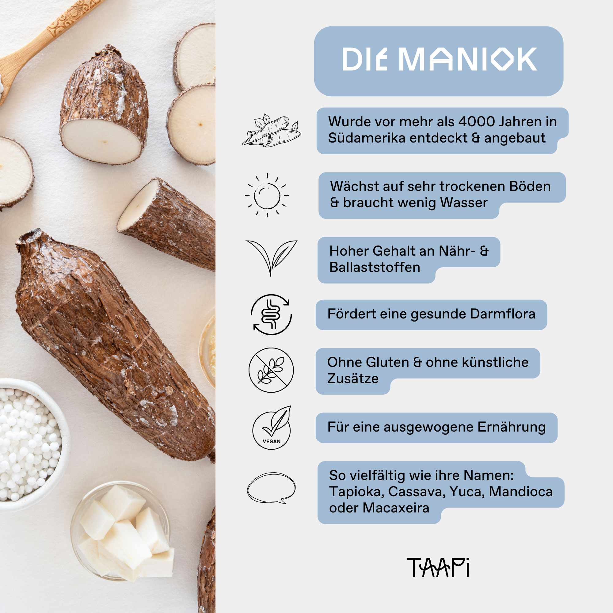 Die Maniok wurde vor mehr als 4000 Jahren in Südamerika entdeckt & angebaut. Die Maniok auch Tapioka gennant, wächst auf sehr trockenen Böden & braucht wenig Wasser. Die Maniok hat einen hohen Gehalt an Nähr- & Ballaststoffen. Die Maniok fördert eine gesunde Darmflora. Sie enthält kein Gluten & ist ohne künstliche Zusätze. Tapioka und Tapiokasirup dient einer ausgewogenen Ernährung. Die Maniok ist so vielfältig wie ihre Namen: Tapioka, Cassava, Yuca, Mandioca oder Macaxeira.