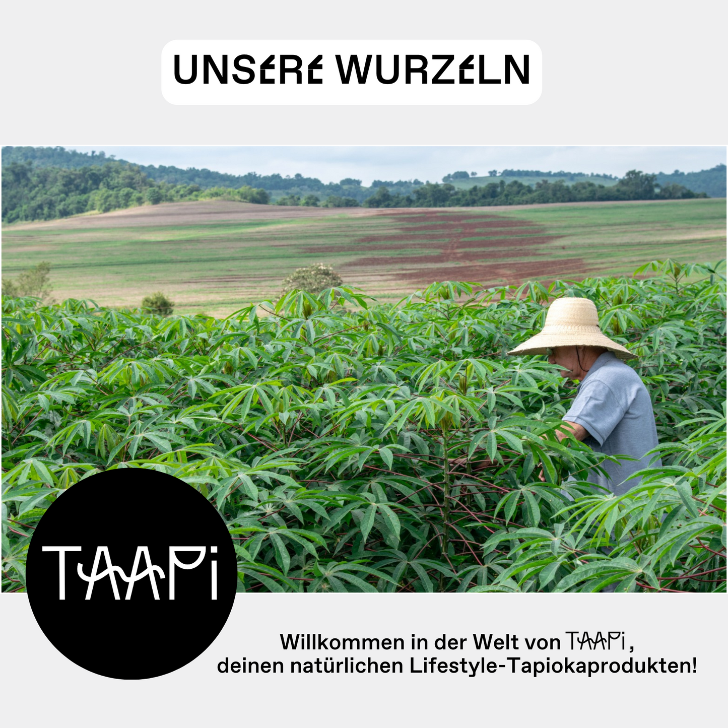 Unsere Tapiokastärke hat ihren Ursprung in Brasilien. Du bringst also mit unserer Tapioka die brasilianische Küche direkt zu dir nach Hause. Trau dich und probiere die Tapioka Rezepte deiner Wahl. Willkommen in der Welt von TAAPi, deinen natürlichen Lifesytle-Tapiokaprodukten!