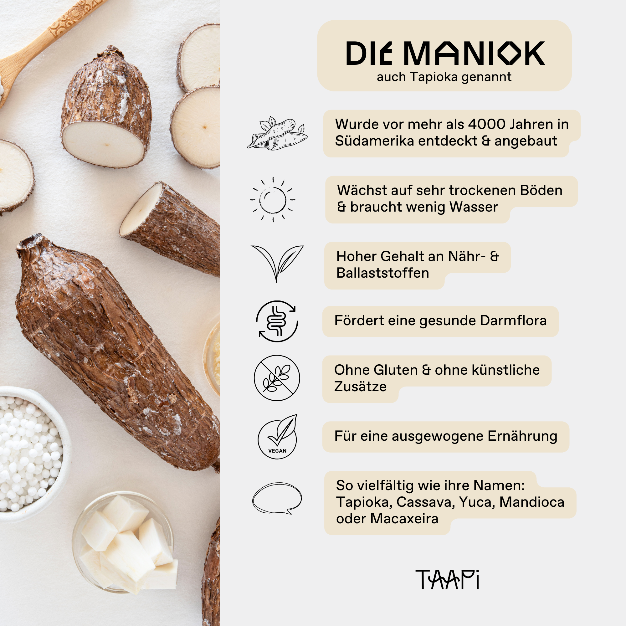 Die Maniok wurde vor mehr als 4000 Jahren in Südamerika entdeckt & angebaut. Die Maniok auch Tapioka gennant, wächst auf sehr trockenen Böden & braucht wenig Wasser. Die Maniok hat einen hohen Gehalt an Nähr- & Ballaststoffen. Die Maniok fördert eine gesunde Darmflora. Sie enthält kein Gluten & ist ohne künstliche Zusätze. Tapioka und Tapiokasirup dient einer ausgewogenen Ernährung. Die Maniok ist so vielfältig wie ihre Namen: Tapioka, Cassava, Yuca, Mandioca oder Macaxeira.