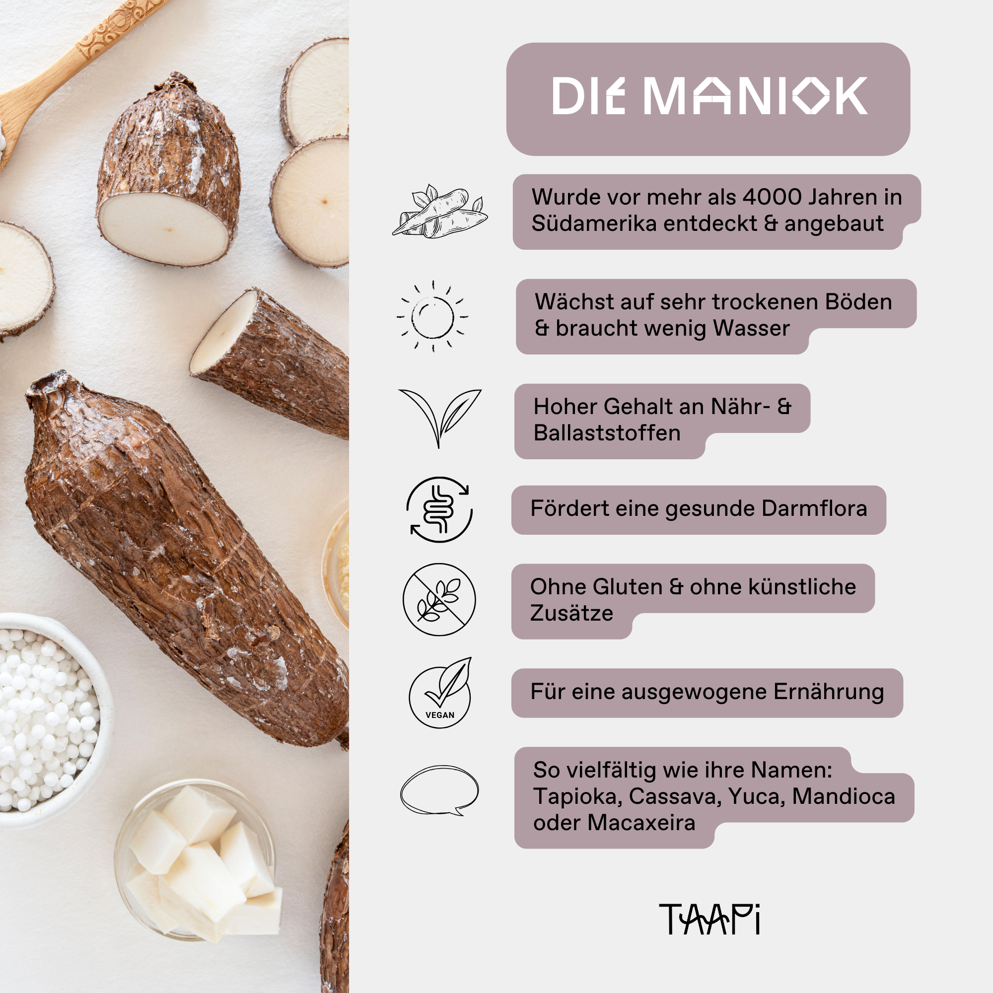 Die Maniok wurde vor mehr als 4000 Jahren in Südamerika entdeckt & angebaut. Die Maniok auch Tapioka gennant, wächst auf sehr trockenen Böden & braucht wenig Wasser. Die Maniok hat einen hohen Gehalt an Nähr- & Ballaststoffen. Die Maniok fördert eine gesunde Darmflora. Sie enthält kein Gluten & ist ohne künstliche Zusätze. Tapioka und Tapiokasirup dient einer ausgewogenen Ernährung. Die Maniok ist so vielfältig wie ihre Namen: Tapioka, Cassava, Yuca, Mandioca oder Macaxeira.